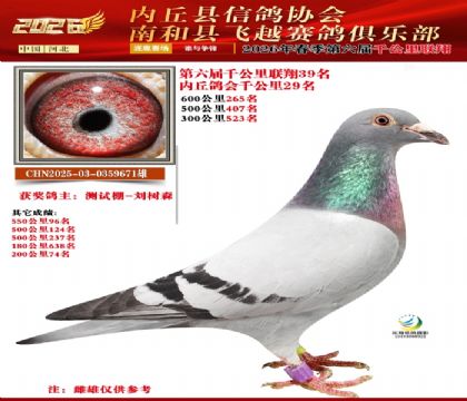 ����ǧ����39��