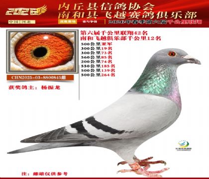 ����ǧ����42��