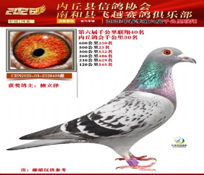 ����ǧ����40��