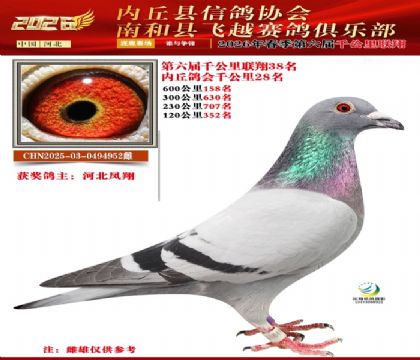 ����ǧ����38��