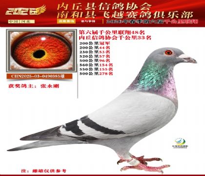 ����ǧ����48��