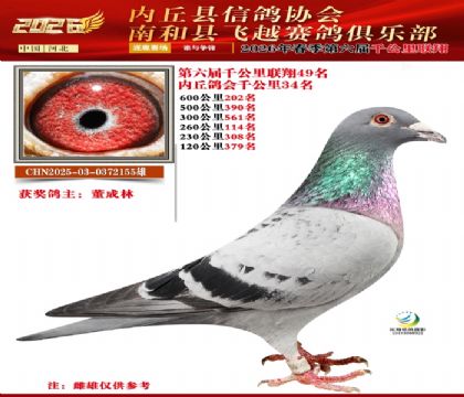 ����ǧ����49��