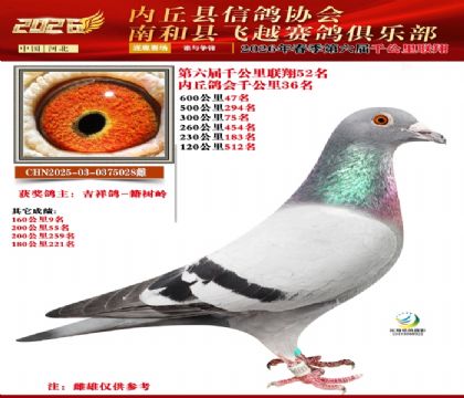 ����ǧ����52��