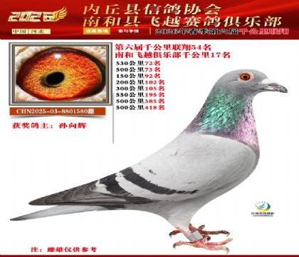 ����ǧ����54��