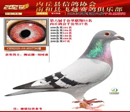 ����ǧ����53��