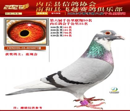 ����ǧ����50��