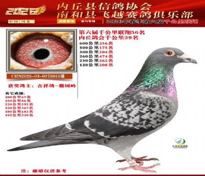 ����ǧ����56��