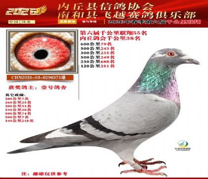 ����ǧ����55��