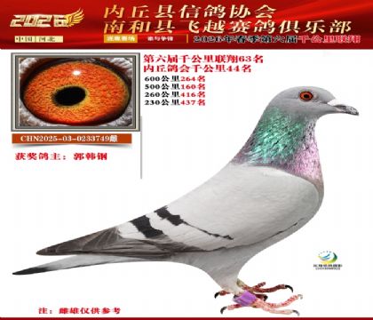 ����ǧ����63��