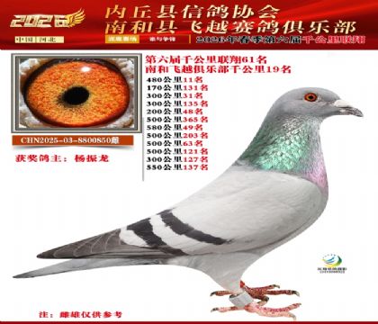 ����ǧ����61��