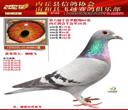 ����ǧ����66��