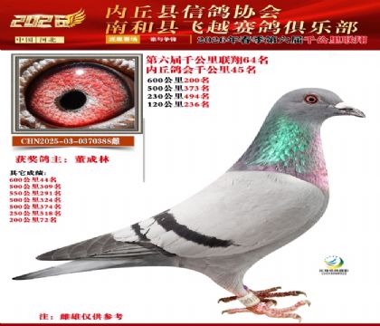 ����ǧ����64��