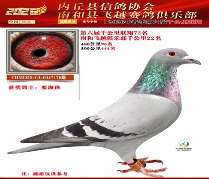 ����ǧ����72��