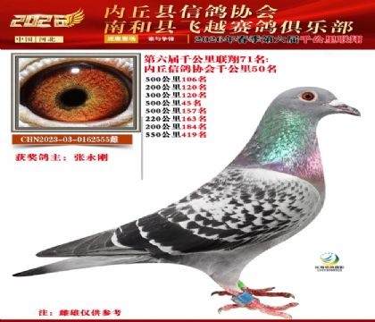 ����ǧ����71��