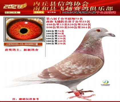 ����ǧ����73��