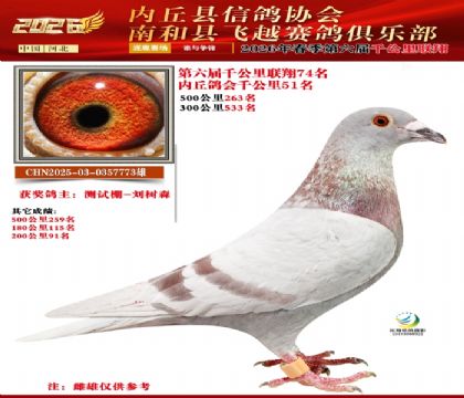 ����ǧ����74��