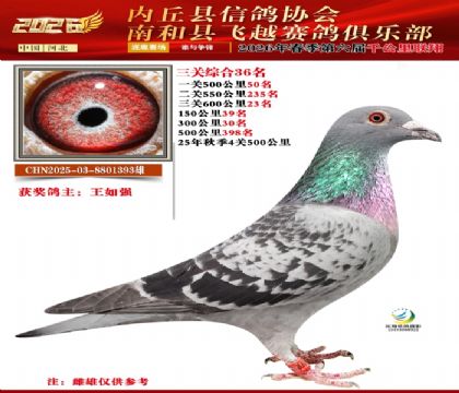 �����ۺ�36