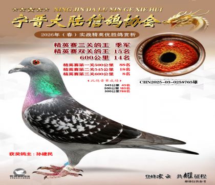 ��Ӣ�����ظ�������