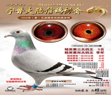 ��Ӣ�����ظ���5��