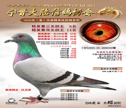 ��Ӣ�����ظ���6��