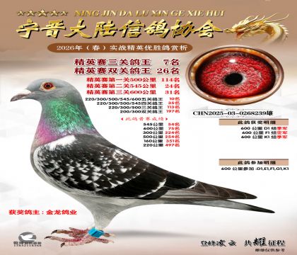 ��Ӣ�����ظ���7��