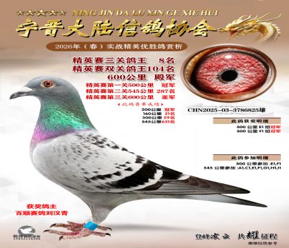 ��Ӣ�����ظ���8��