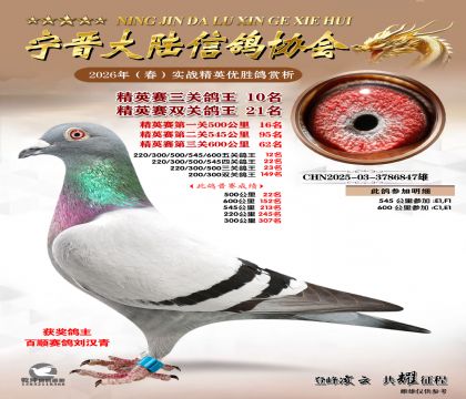 ��Ӣ�����ظ���10��