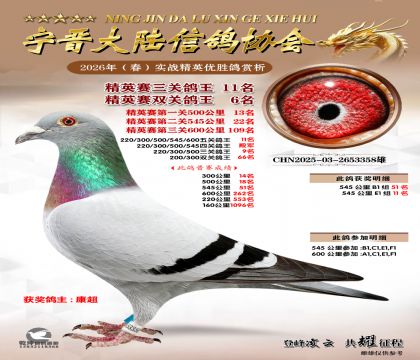 ��Ӣ�����ظ���11��