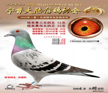 ��Ӣ�����ظ���12��