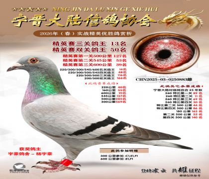 ��Ӣ�����ظ���13��