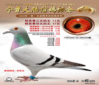 ��Ӣ�����ظ���14��