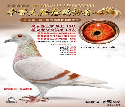 ��Ӣ�����ظ���15��