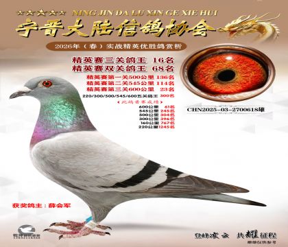 ��Ӣ�����ظ���16��