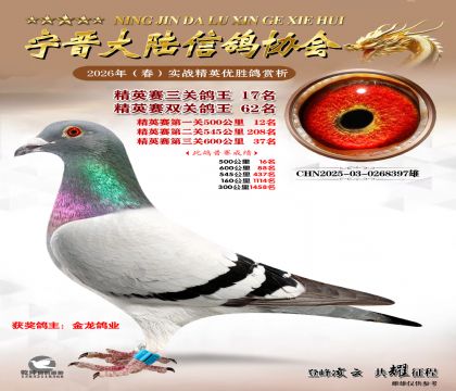 ��Ӣ�����ظ���17��