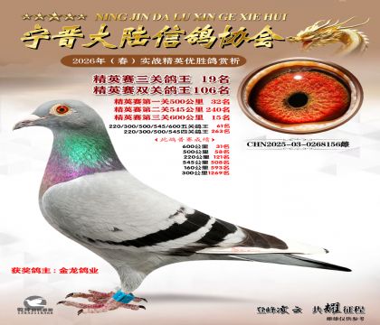 ��Ӣ�����ظ���19��