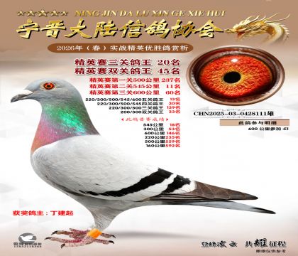 ��Ӣ�����ظ���20��