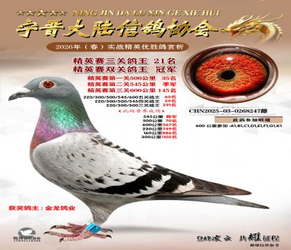 ��Ӣ�����ظ���21��