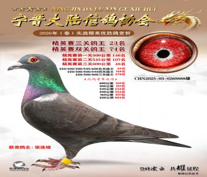 ��Ӣ�����ظ���23��