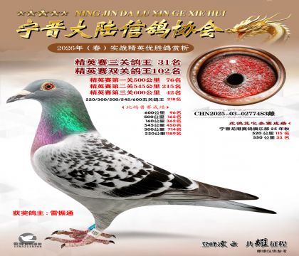 ��Ӣ�����ظ���31��