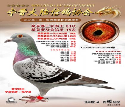 ��Ӣ�����ظ���33��