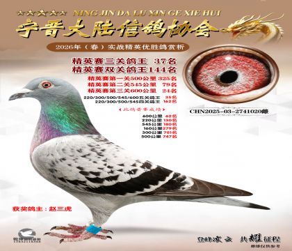 ��Ӣ�����ظ���37��