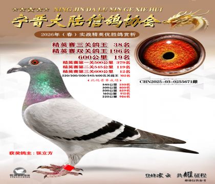 ��Ӣ�����ظ���38��