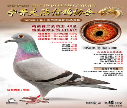 ��Ӣ�����ظ���40��