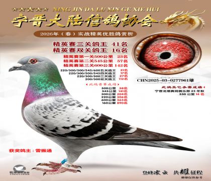 ��Ӣ�����ظ���41��