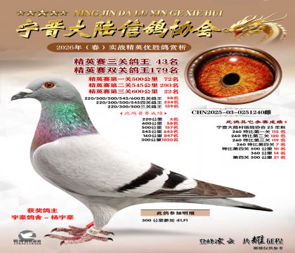 ��Ӣ�����ظ���43��