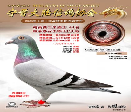 ��Ӣ�����ظ���44��