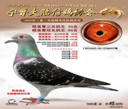 ��Ӣ�����ظ���46��