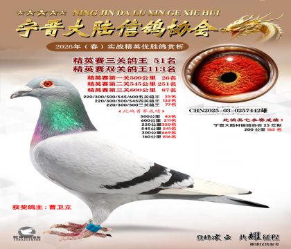 ��Ӣ�����ظ���51��