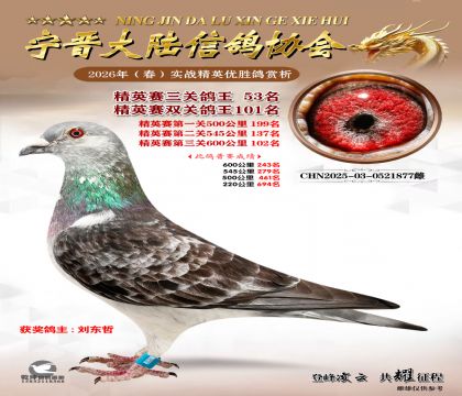 ��Ӣ�����ظ���53��