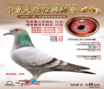 ��Ӣ�����ظ���55��